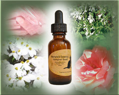 Caregiver Flower-Crystal Essence - Nature's Remedies